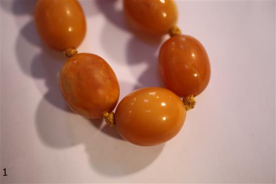 A single strand graduated amber bead necklace, 17in.